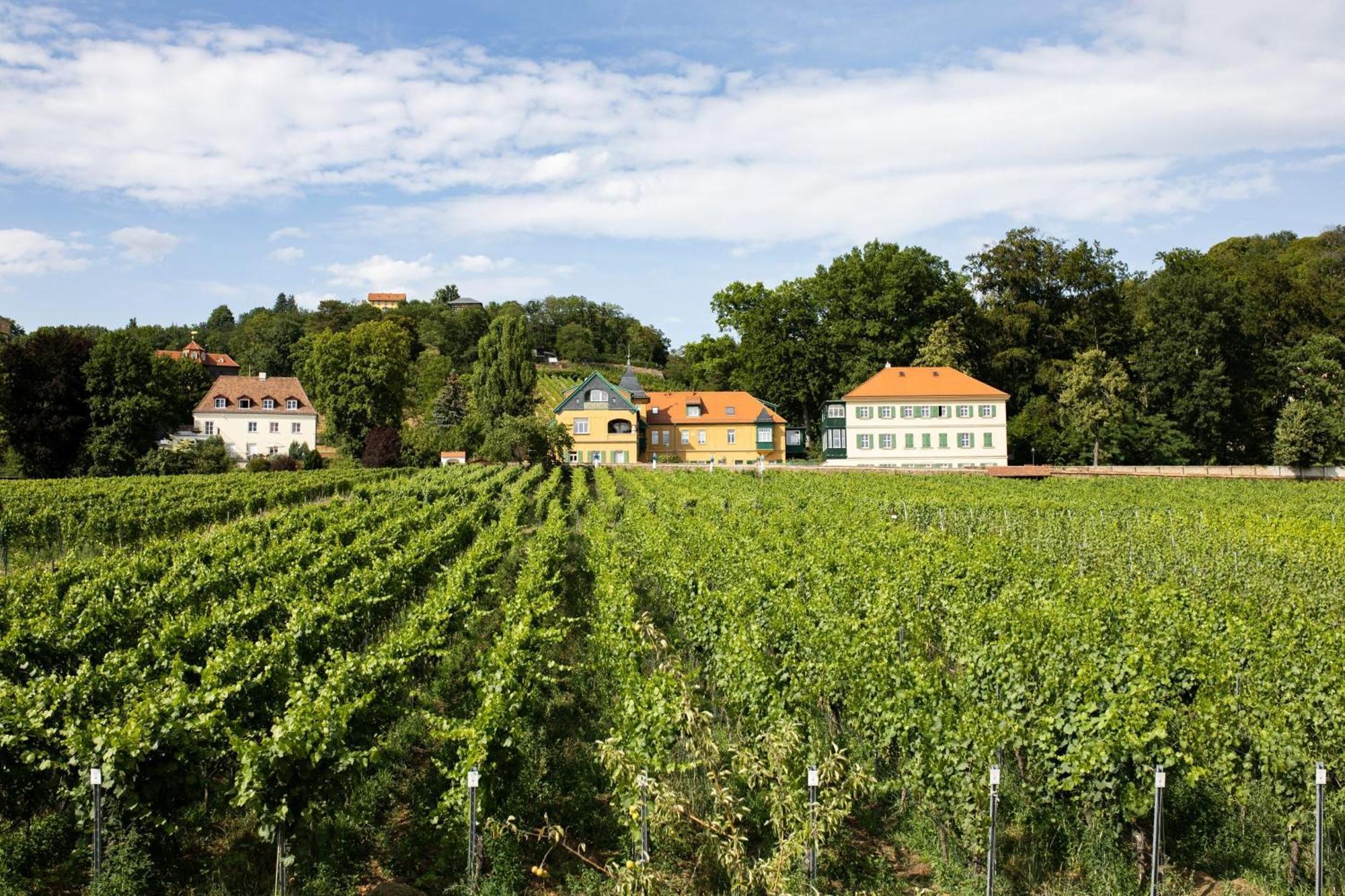 Villa Weingut Haus Steinbach Radebeul Esterno foto